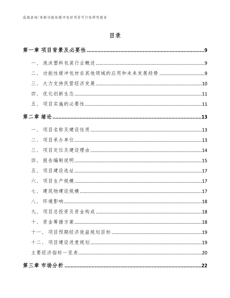 阜新功能性缓冲包材项目可行性研究报告【参考范文】_第1页