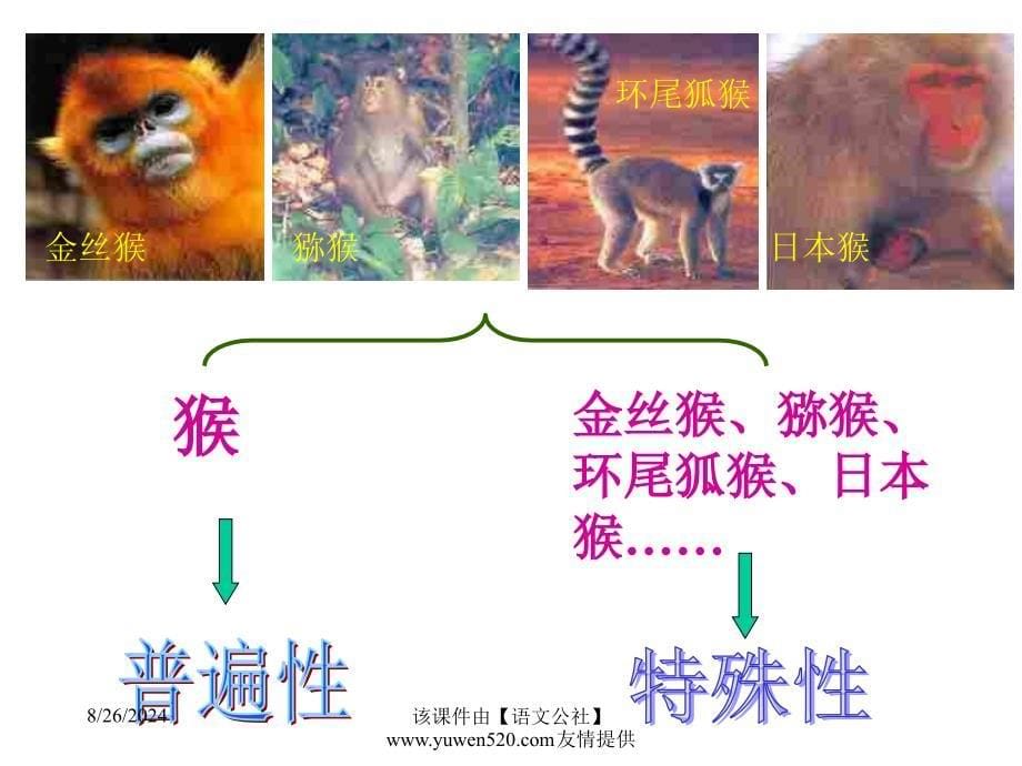 矛盾的普遍性和特殊性的关系_第5页