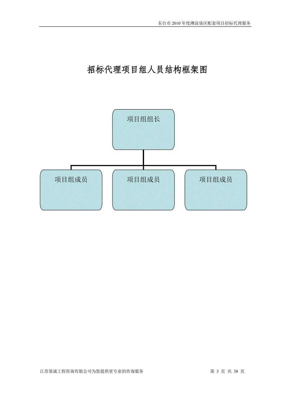 招标代理服务实施方案范例_第3页