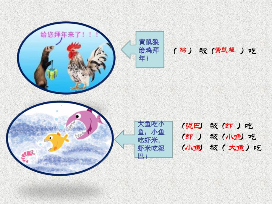 五年级上册科学课件1.5食物链和食物网教科版共14张PPT1_第4页