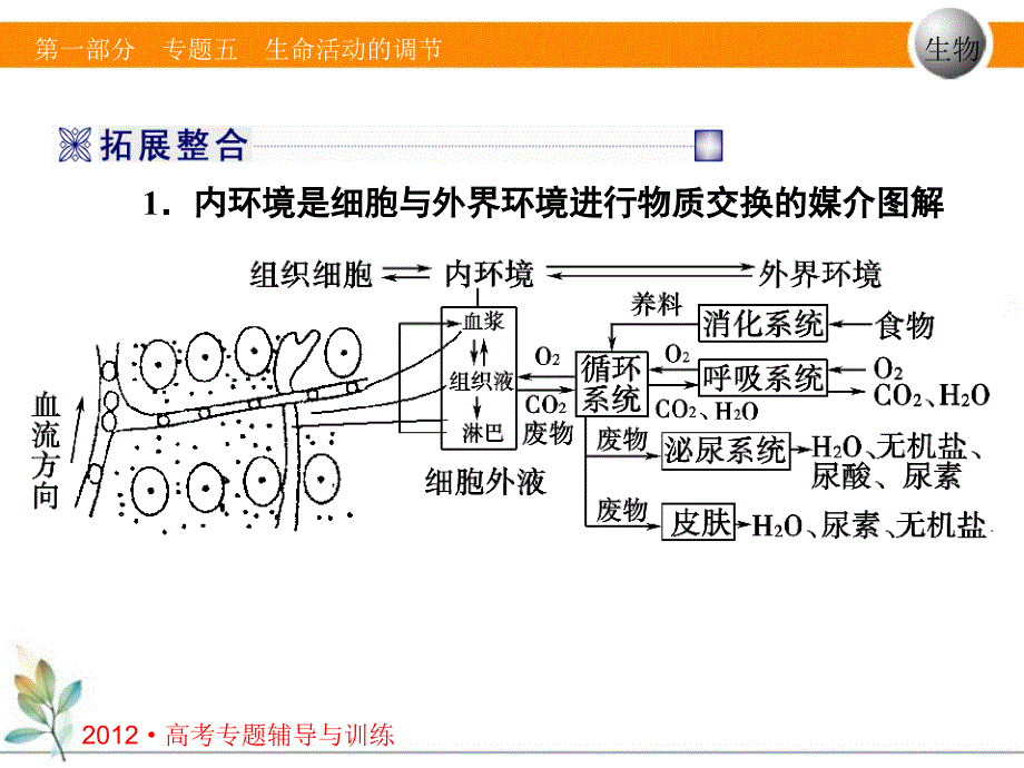 专题五第二讲生命活动调节人体稳态和免疫_第3页