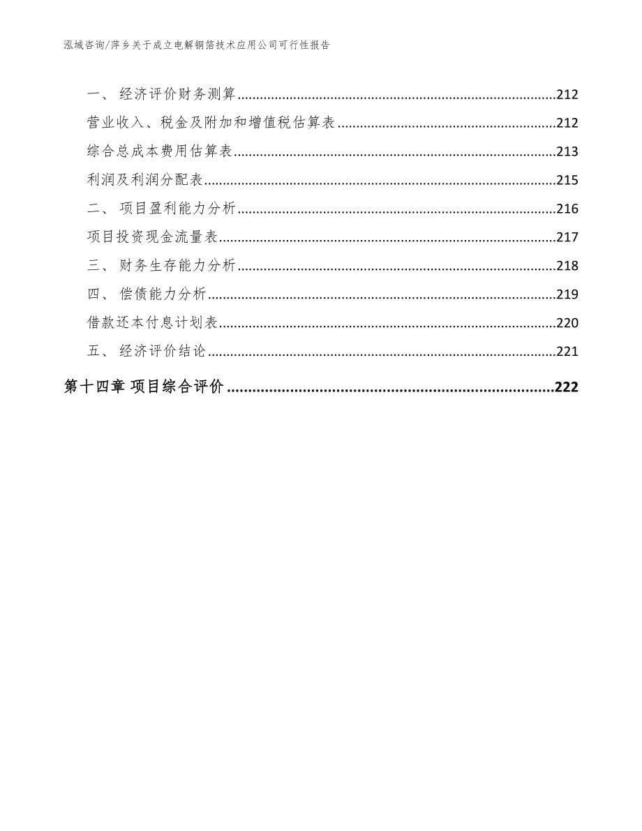 萍乡关于成立电解铜箔技术应用公司可行性报告_第5页