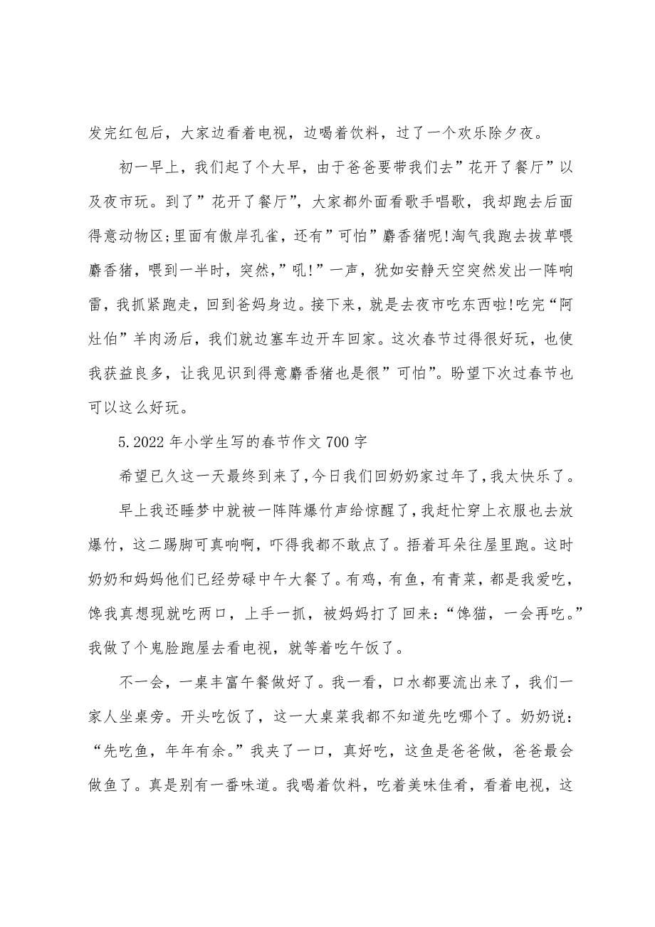 2022年小学生写的春节作文700字.docx_第5页