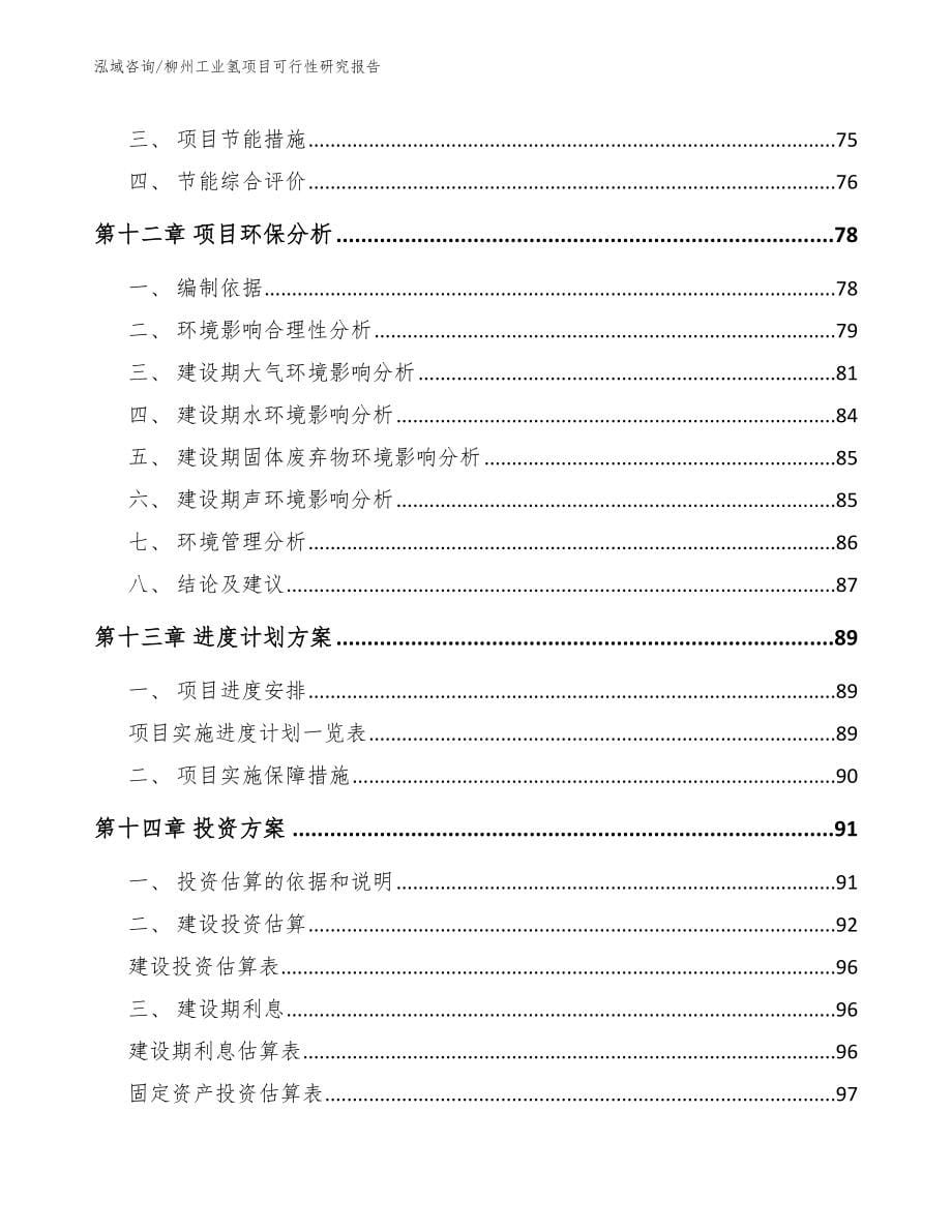 柳州工业氢项目可行性研究报告范文_第5页