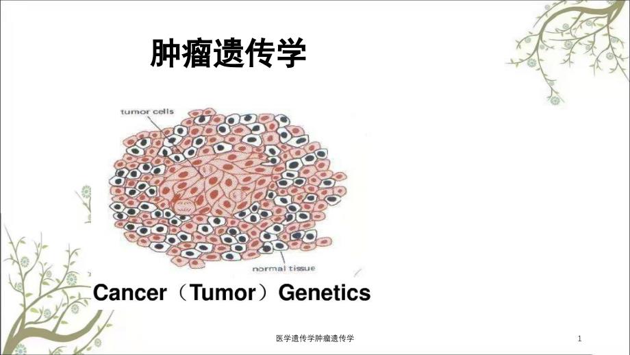 医学遗传学肿瘤遗传学_第1页