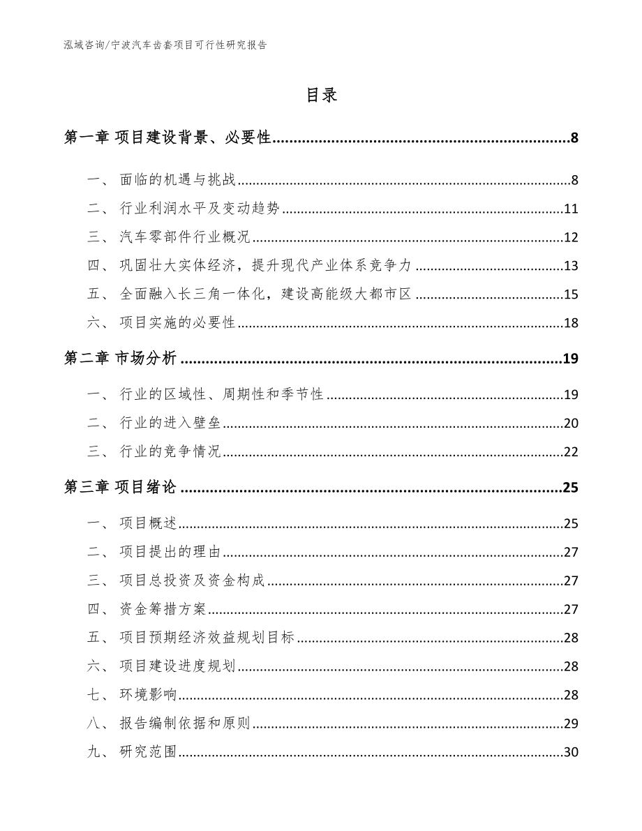 宁波汽车齿套项目可行性研究报告参考范文_第1页