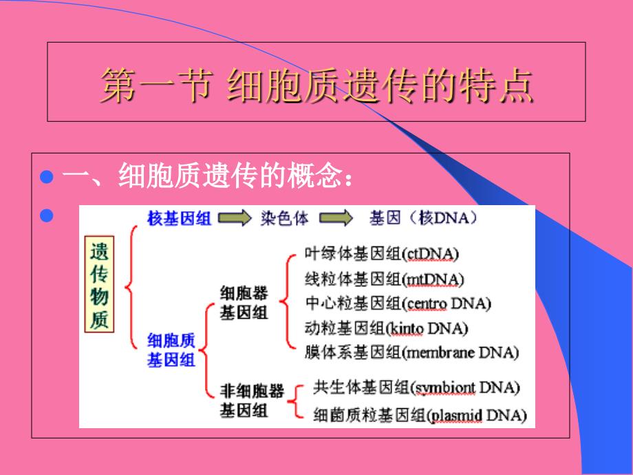 核外遗传细胞质ppt课件_第2页