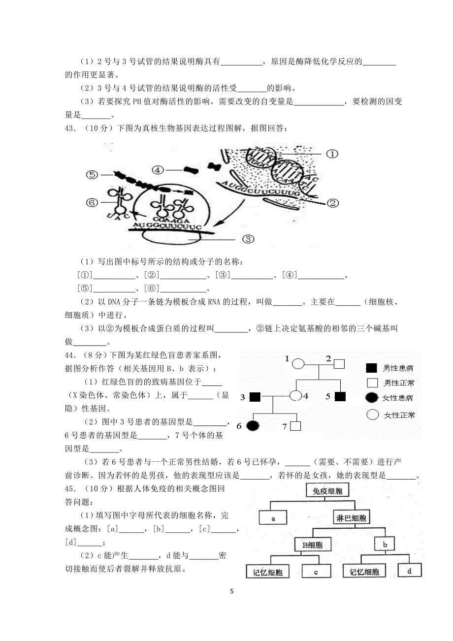 (完整word版)高中生物学业水平考试模拟试卷.doc_第5页