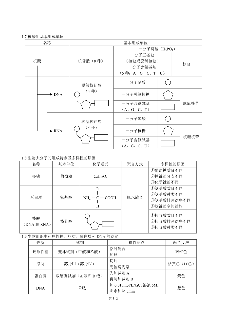 高中生物知识结构网络.doc_第3页