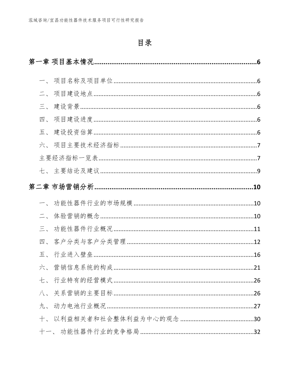 宜昌功能性器件技术服务项目可行性研究报告（范文参考）_第2页