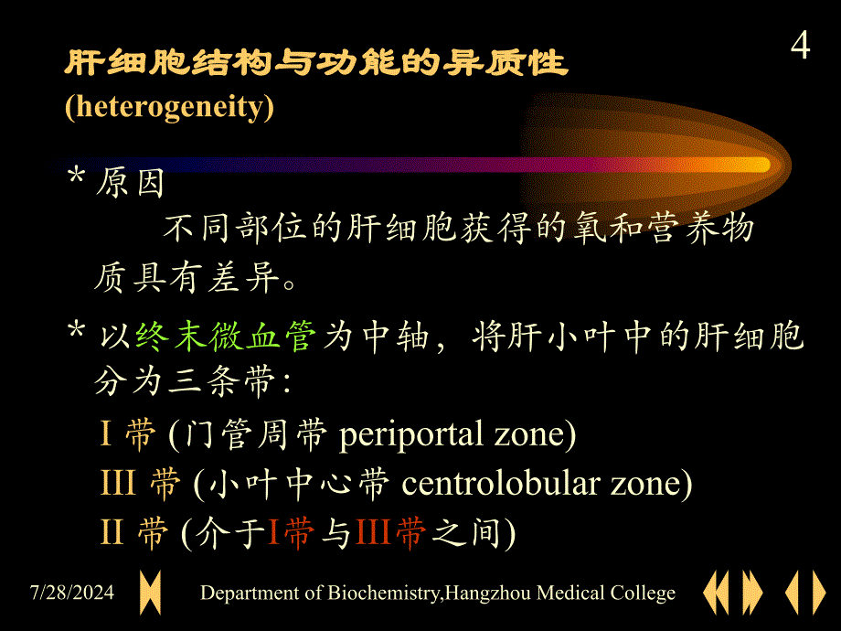 肝的生物化学肝胆生化生物化学_第4页