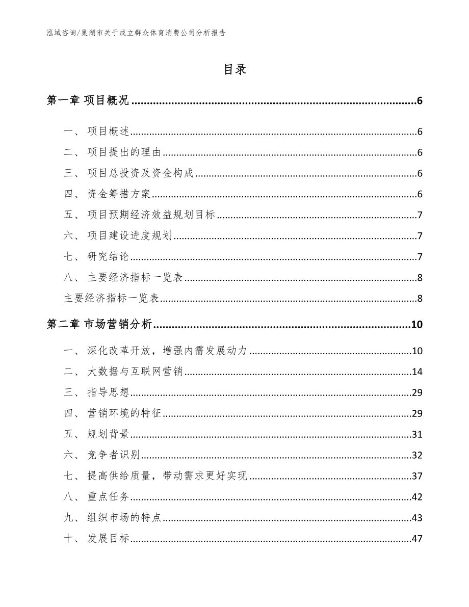 巢湖市关于成立群众体育消费公司分析报告_第1页