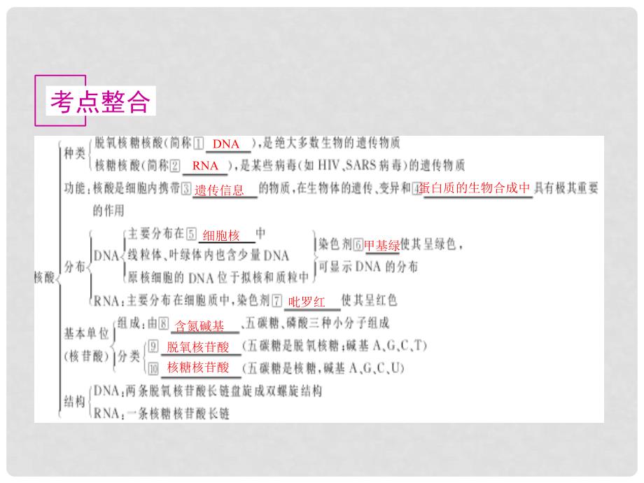 高中生物《有机化合物与生物大分子》课件5 浙科版必修1_第2页