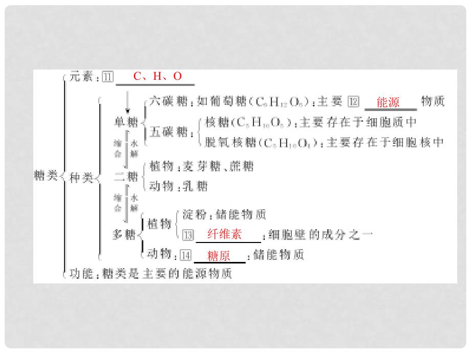 高中生物《有机化合物与生物大分子》课件5 浙科版必修1_第3页