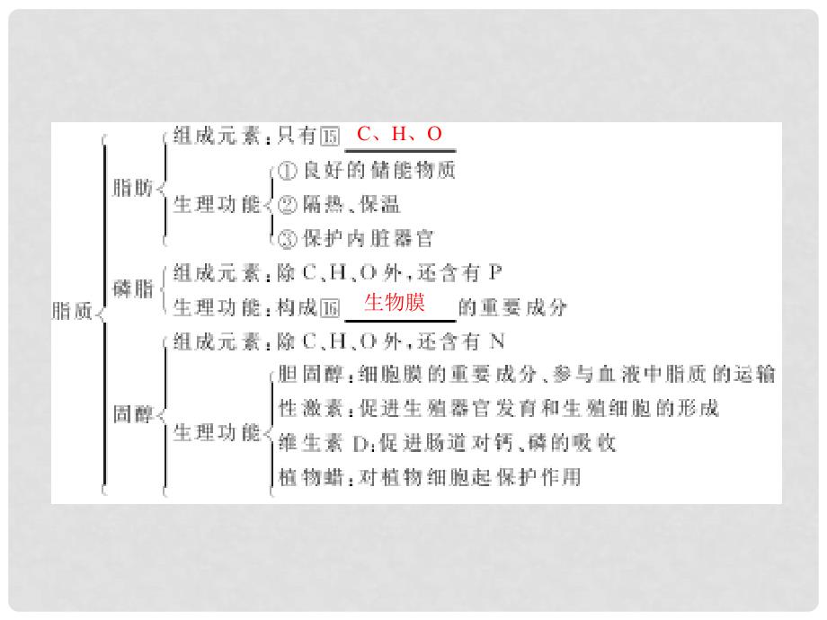 高中生物《有机化合物与生物大分子》课件5 浙科版必修1_第4页