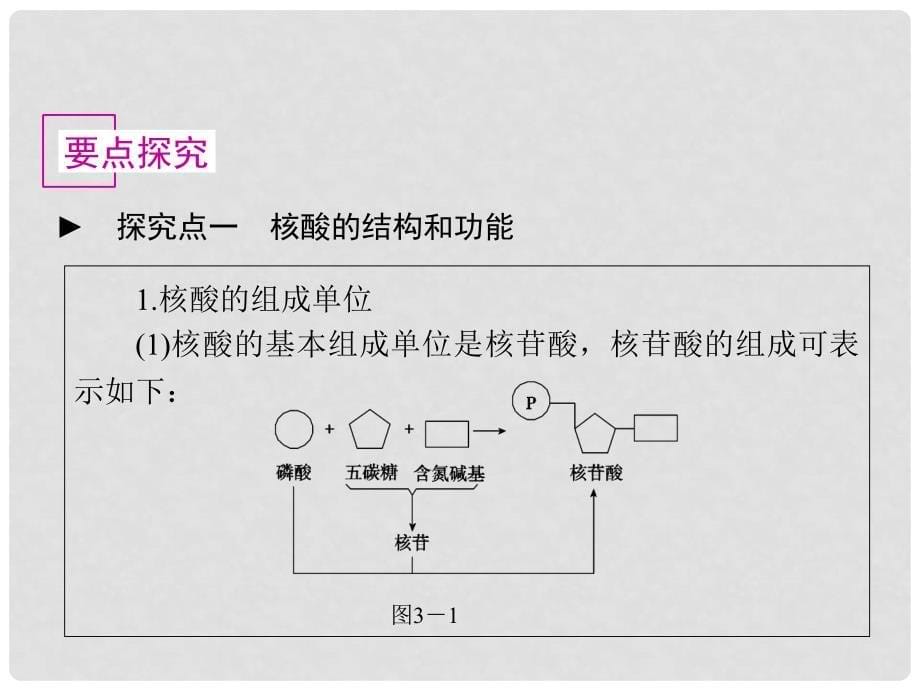 高中生物《有机化合物与生物大分子》课件5 浙科版必修1_第5页