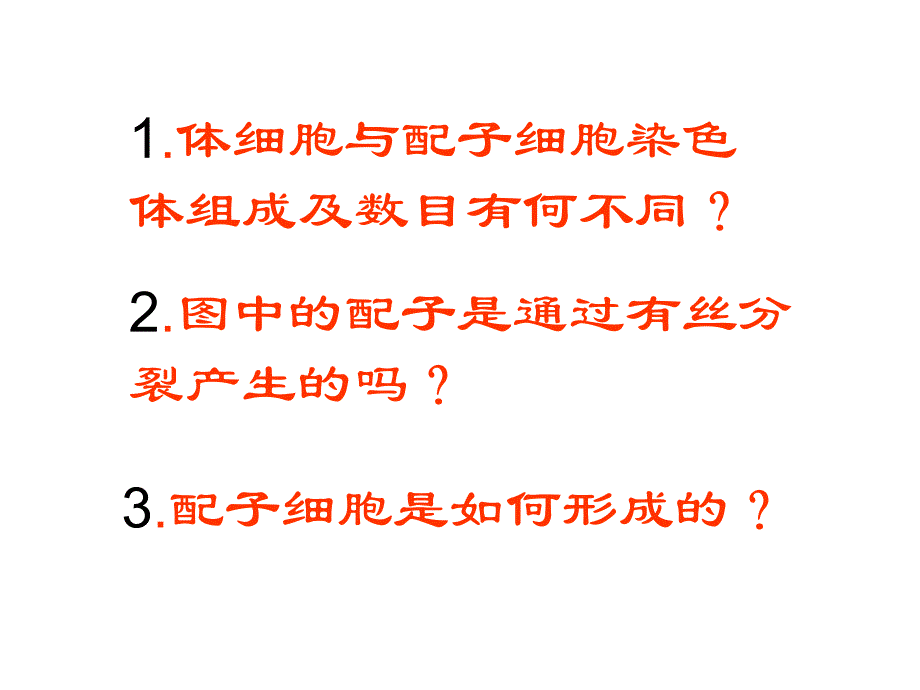 2022章节减数分裂_第4页