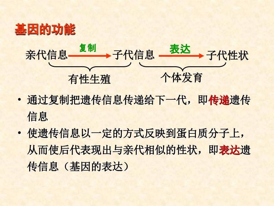 基因对性状的控制PPT课件_第3页