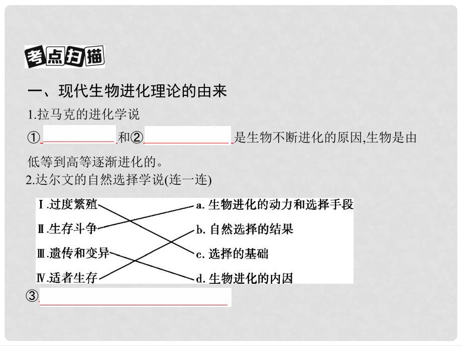 高考生物一轮复习 第20讲 生物的进化课件_第3页