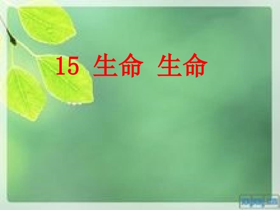 15生命生命_第5页