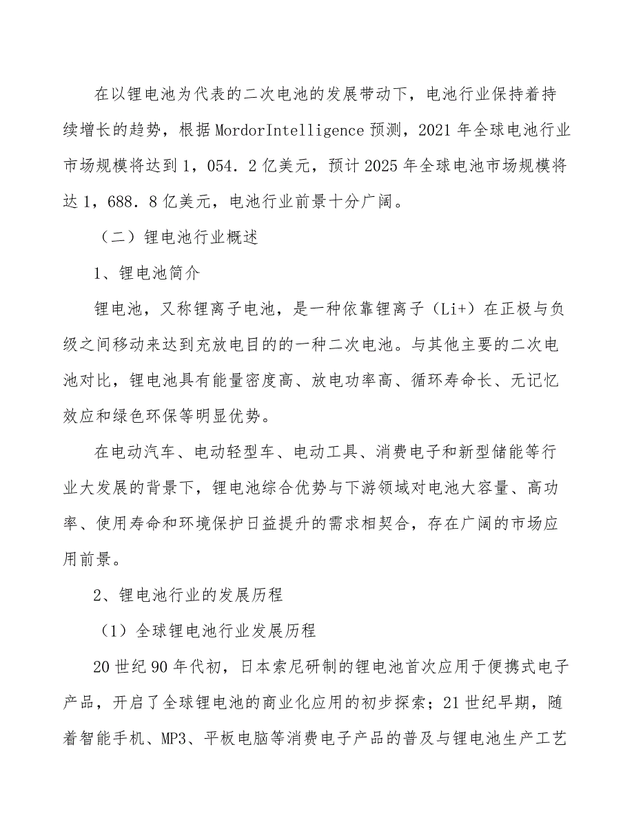 电池与锂电池行业发展概况_第2页