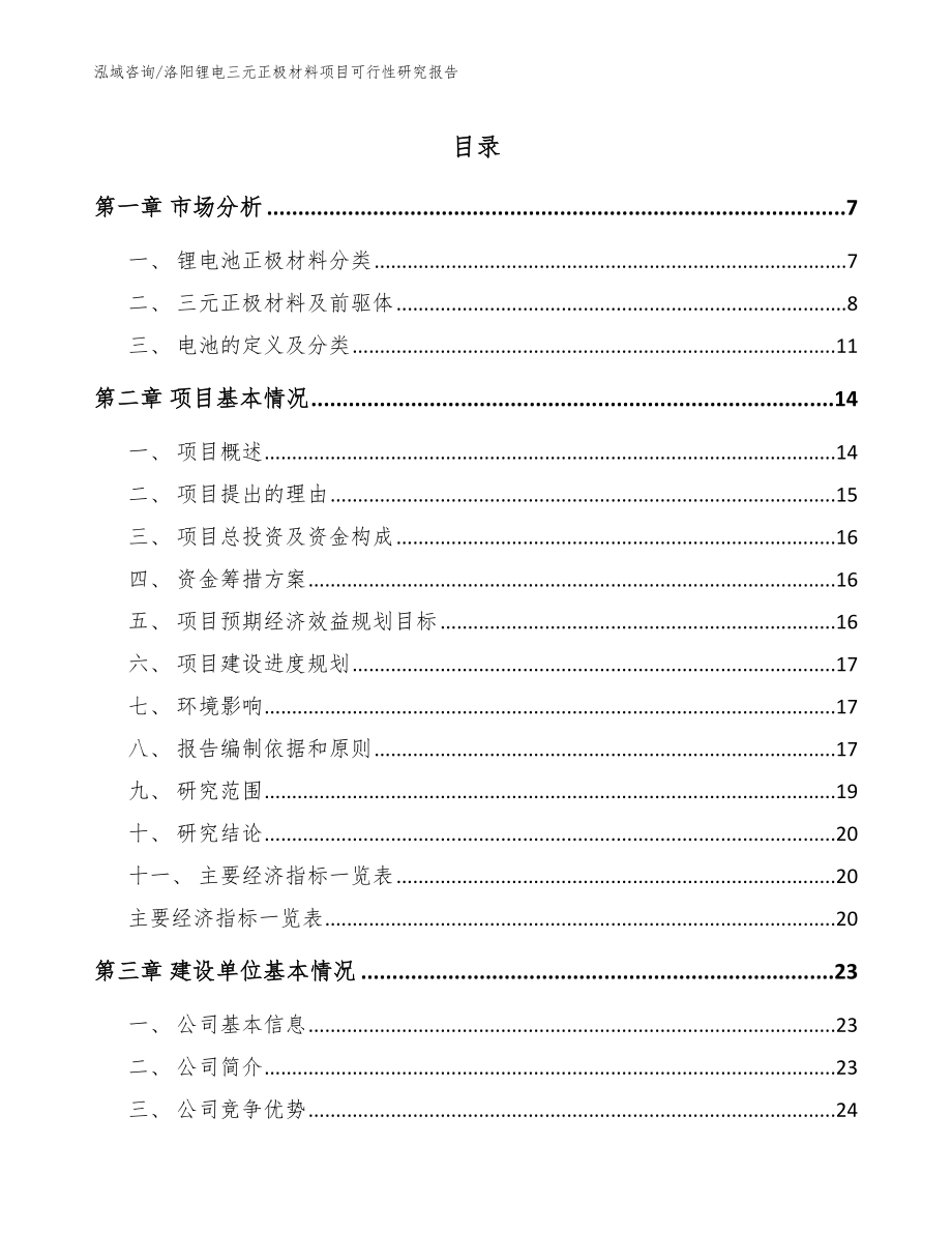 洛阳锂电三元正极材料项目可行性研究报告（模板）_第1页