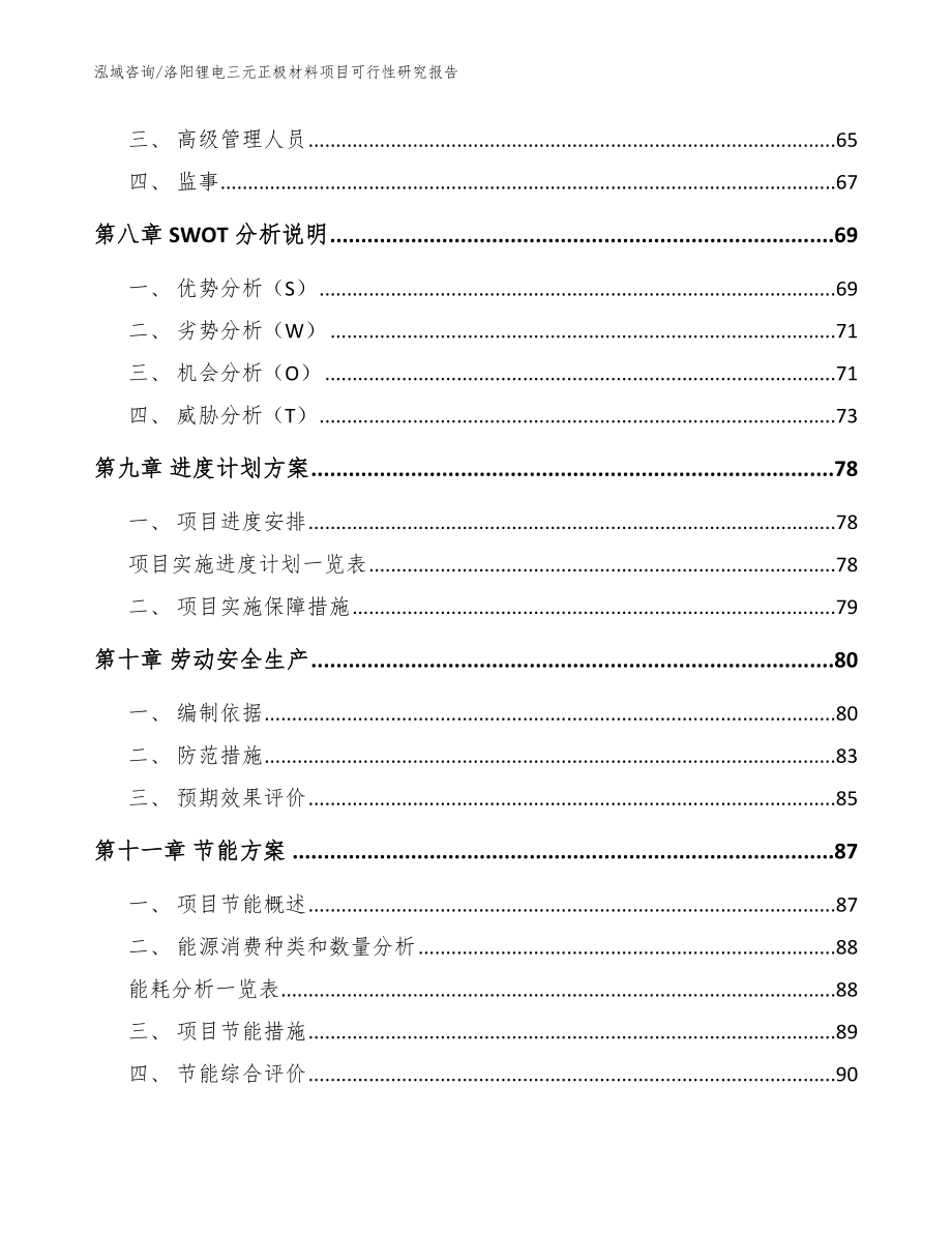 洛阳锂电三元正极材料项目可行性研究报告（模板）_第3页