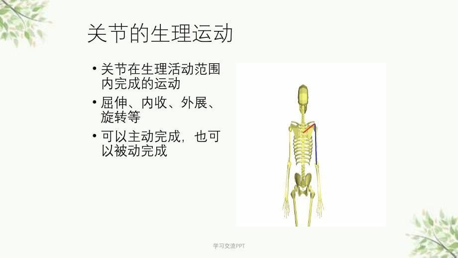 关节松动术医学课件_第5页