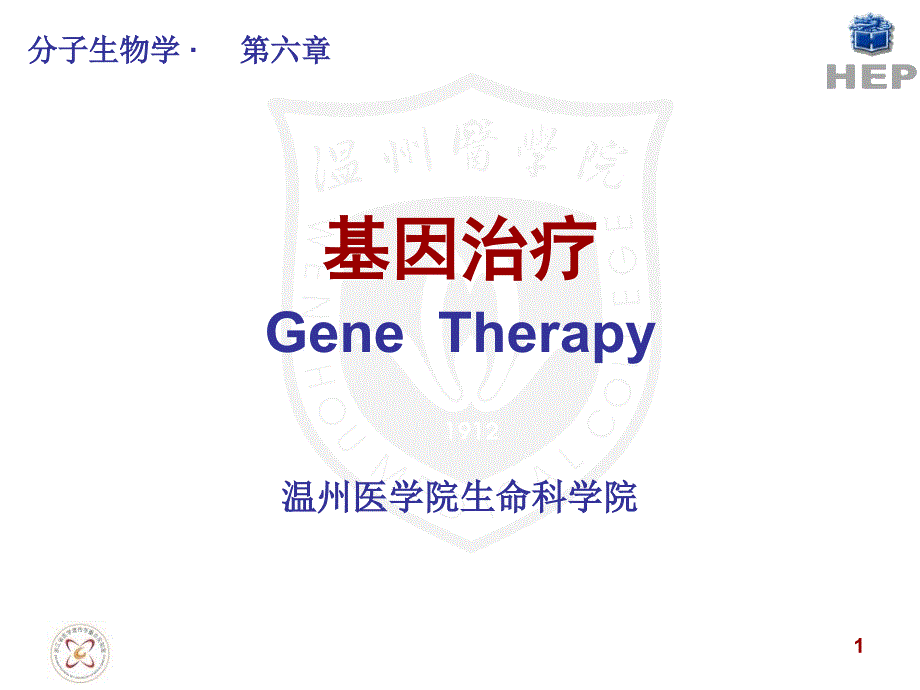 基因治疗精选演示PPT_第1页