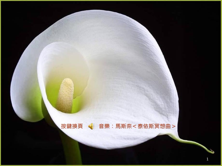 长寿人缘排一_第1页