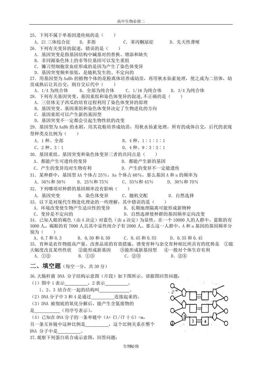 人教版试题试卷郑集高级中学遗传与进化专题训练(必修).doc_第3页