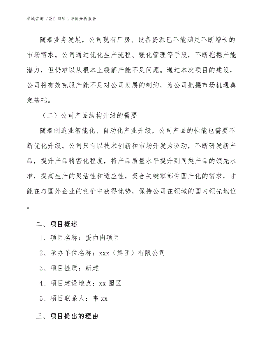 蛋白肉项目评价分析报告（范文）_第4页