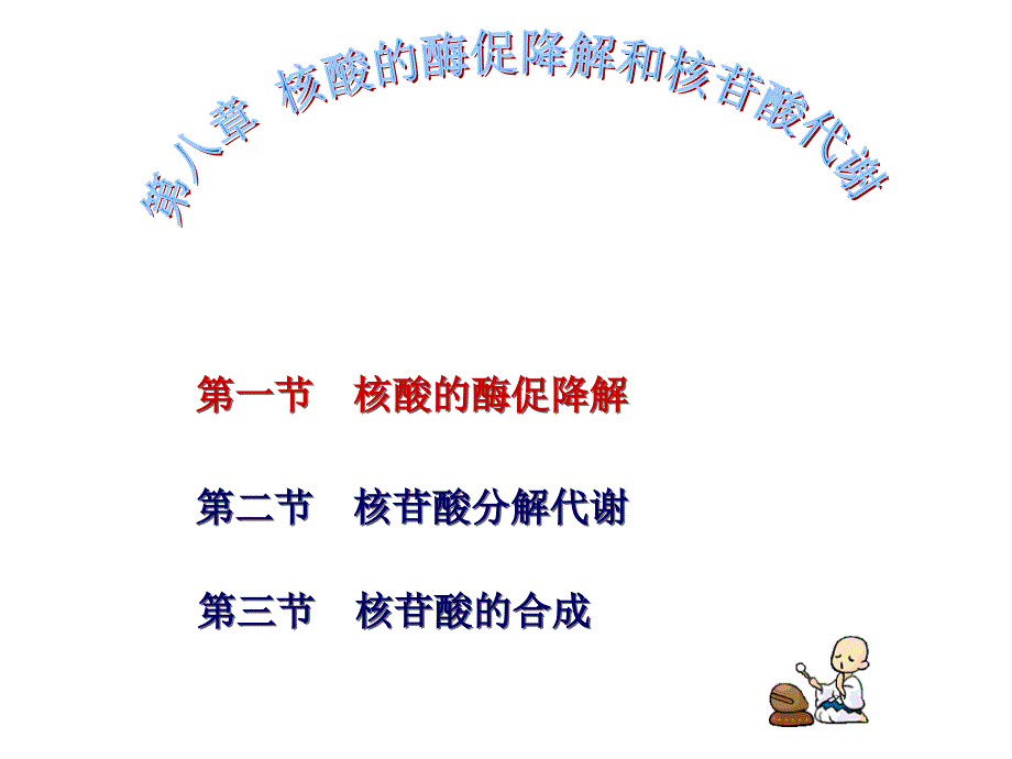 生物化学：第八章 核酸的酶促降解和核苷酸代谢_第1页