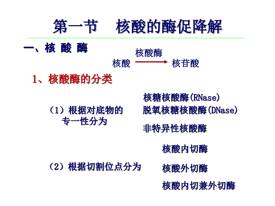 生物化学：第八章 核酸的酶促降解和核苷酸代谢_第2页