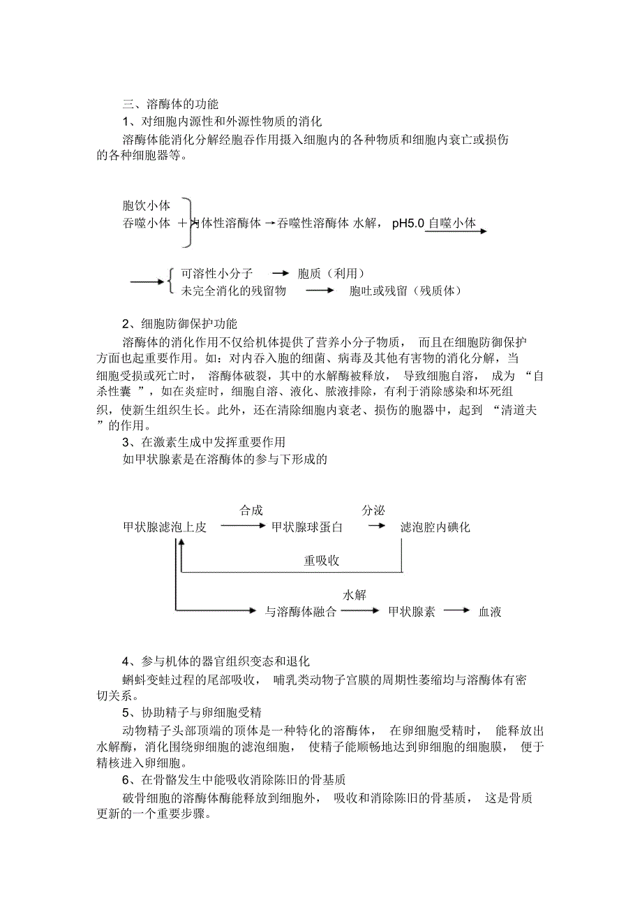 细胞质与细胞器_第3页