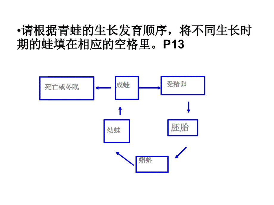 14动物生长周期昆虫_第2页