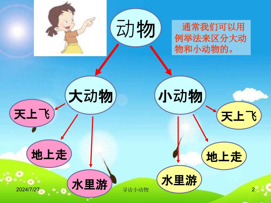 教科版科学三上《寻访小动物》课件_第2页