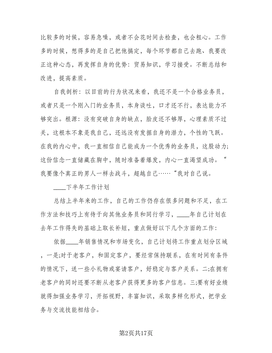 销售业务员个人总结模板（三篇）.doc_第2页