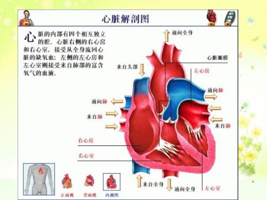 心脏生化标志物检验_第3页