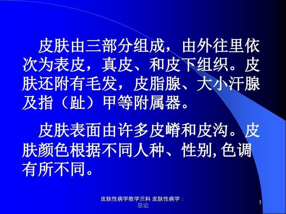 皮肤性病学教学资料皮肤性病学总论课件_第5页