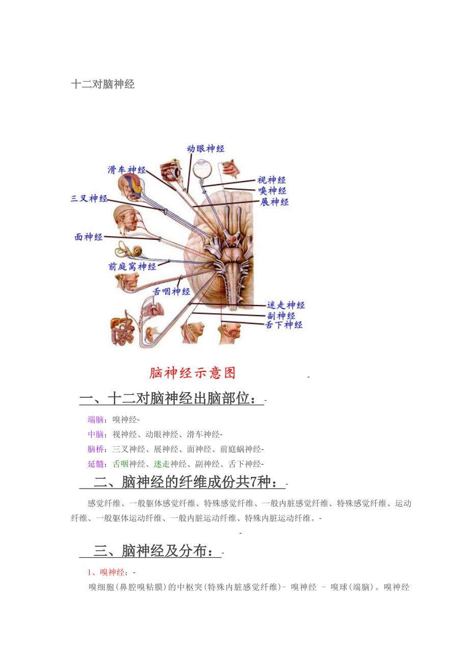 (推荐)十二对脑神经(附图).doc_第1页