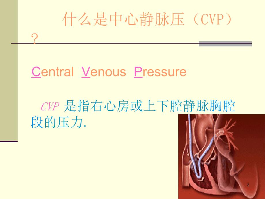 （推荐精选）中心静脉压测定_第2页