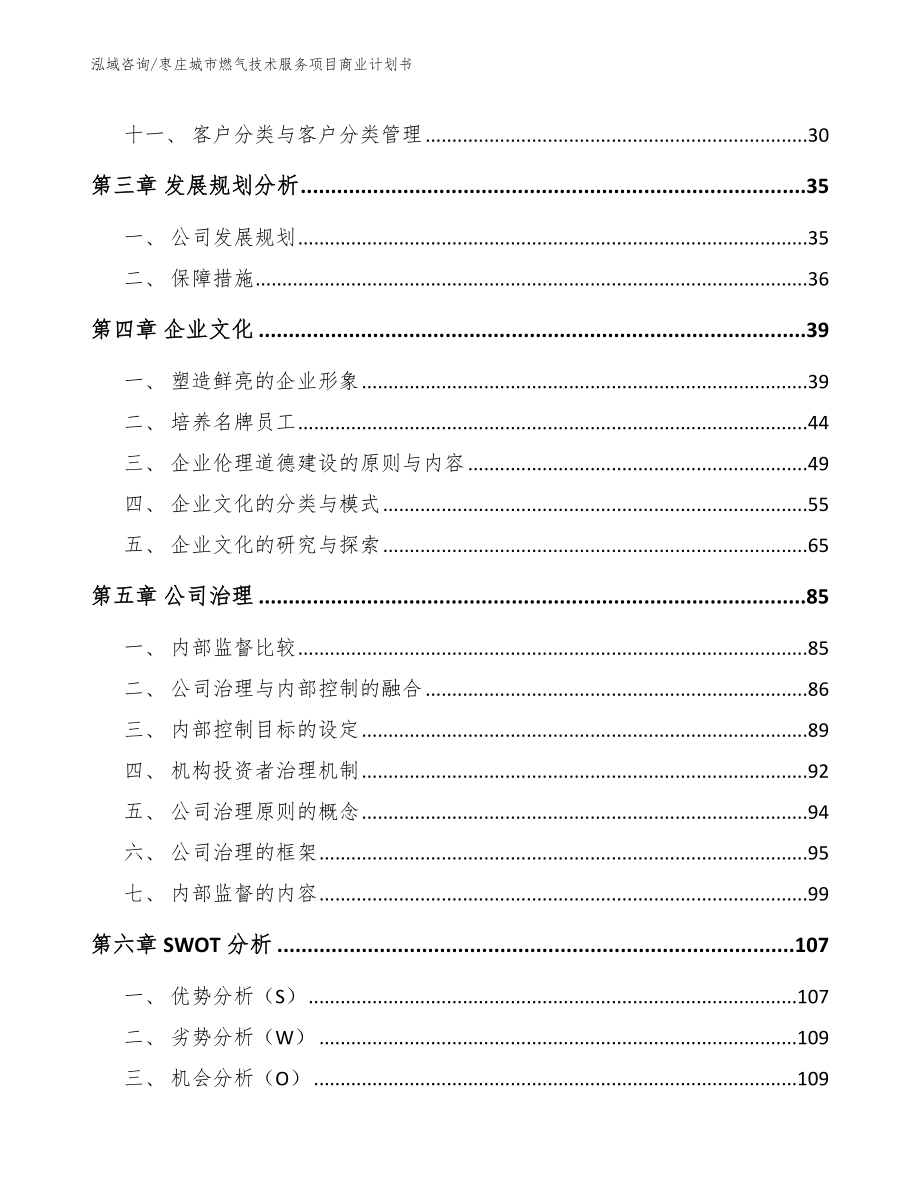 枣庄城市燃气技术服务项目商业计划书【参考模板】_第3页