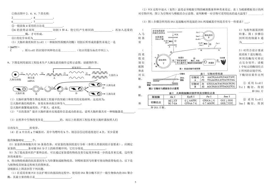 基因工程的应用练习题_第5页