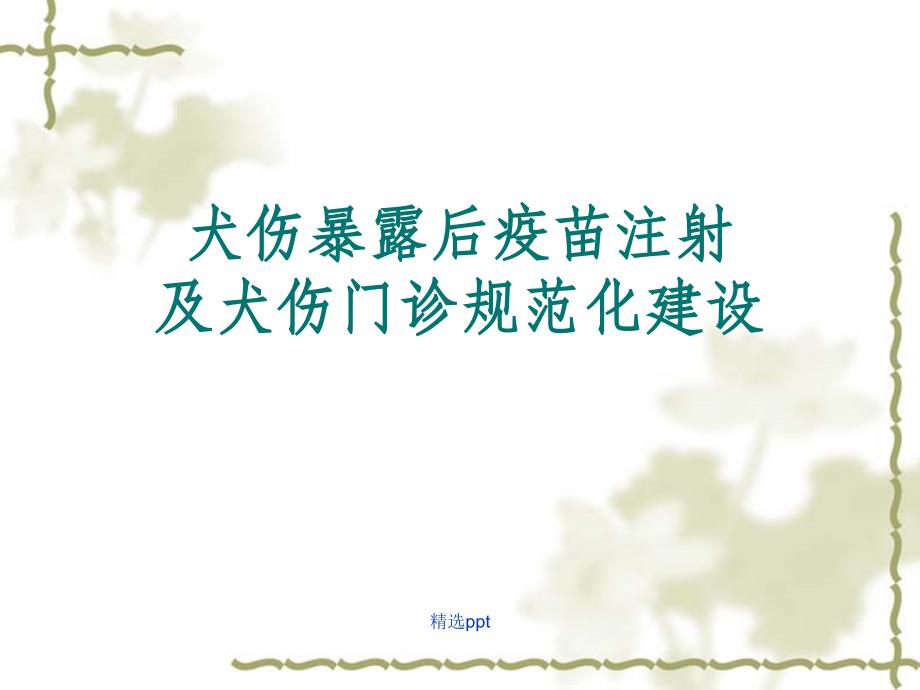 犬伤处置及犬伤门诊规范化建设讲1_第1页