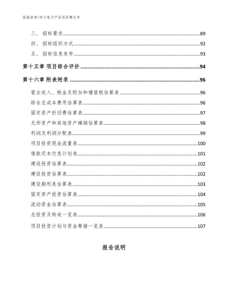 四川电子产品项目建议书【模板参考】_第5页