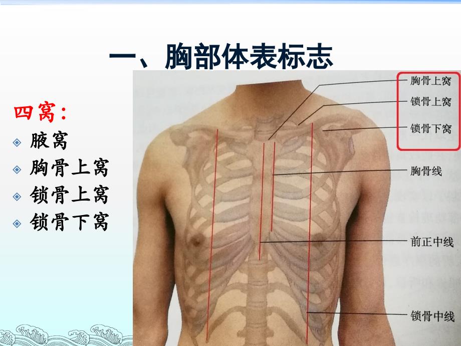 胸部体格检查-整理版ppt课件_第4页