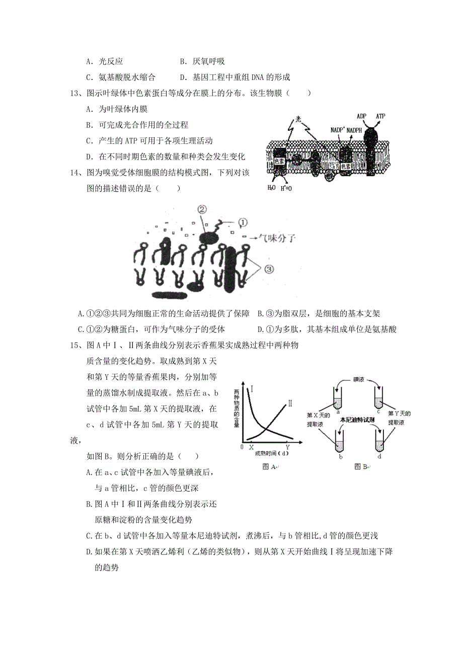 浙江省苍南县2012届高三生物第二次月考试题新人教版_第3页