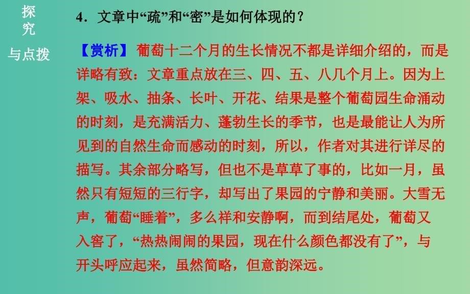 高中语文 散文部分 第五单元 葡萄月令课件 新人教版选修《中国现代诗歌散文欣赏》.ppt_第5页