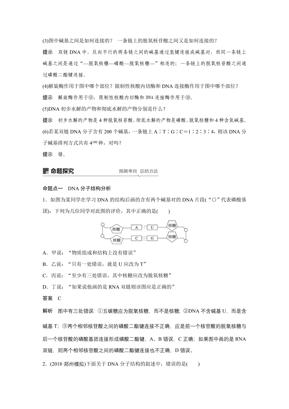 2020届高考生物一轮复习讲义 第6单元 第18讲DNA分子的结构、复制及基因的本质.docx_第3页